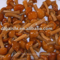 Eingelegtes Nameko